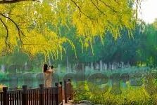 sb足球即时比分-SB足球即时比分，球迷的掌中宝，赛事动态的实时追踪者