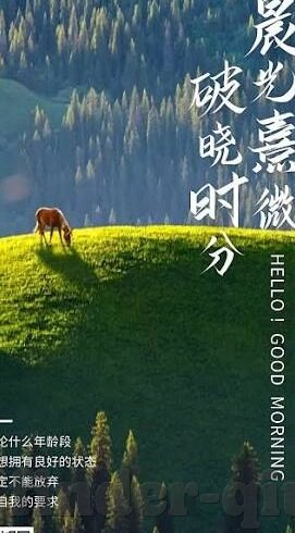足球比分直播网-足球比分直播网，球迷的实时战场与信息枢纽
